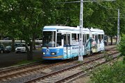 IMG_7525