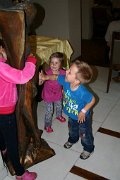 IMG_7720