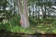 IMG_8770