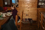 IMG_5984