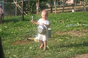 IMG_9812
