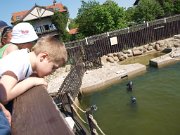 2014-05-23_P5239280