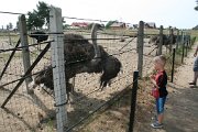 IMG_3981