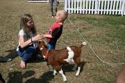 IMG_4016
