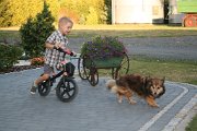 IMG_5599