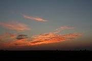 IMG_5600