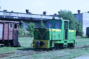 IMG_4453