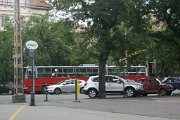 IMG_4986