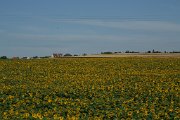 IMG_9726
