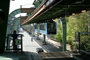 IMG_1956