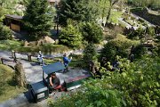 IMG_2339