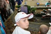 IMG_3331