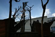 IMG_3402
