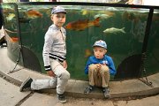 IMG_3756