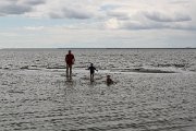 IMG_4247